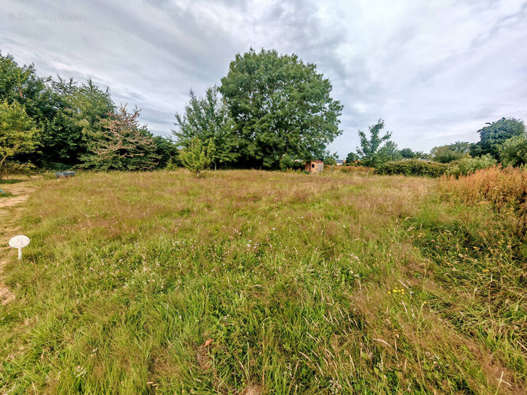Terrain à BRETTEVILLE-SUR-LAIZE