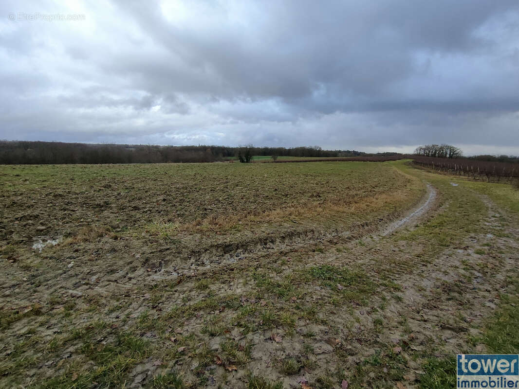 Terrain à GAILLAC