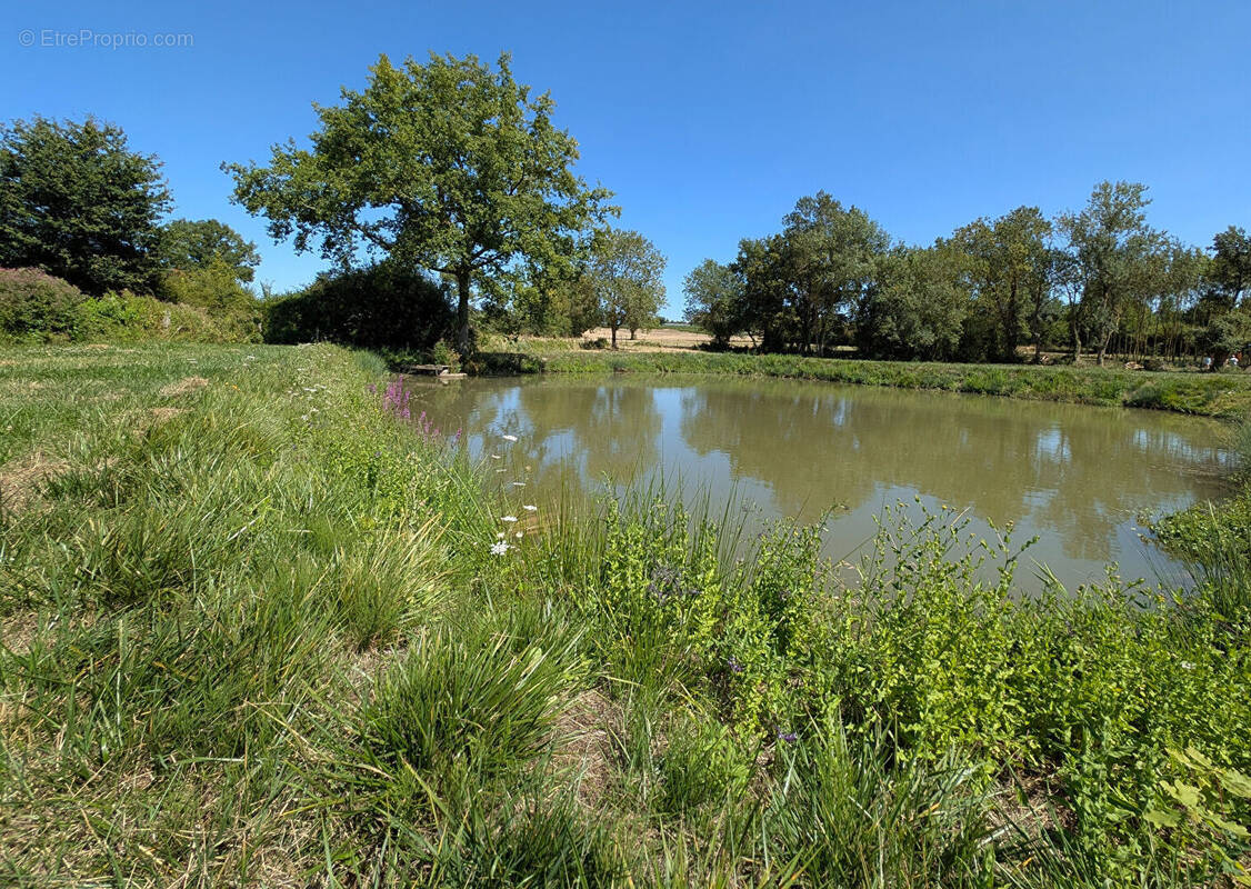 Terrain à ROCHEFORT-SUR-LOIRE