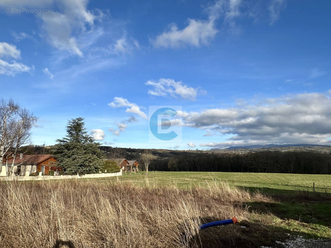 Terrain à SAVIGNY