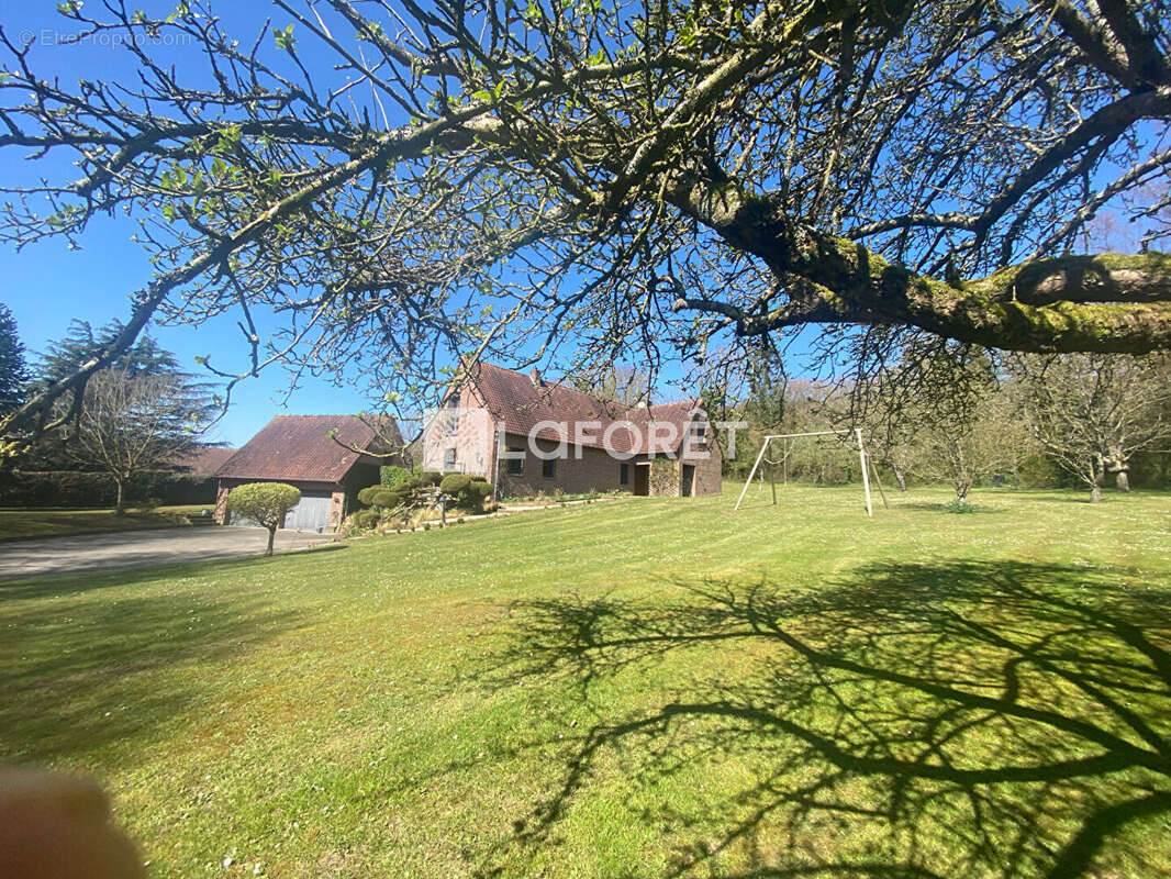 Maison à HESDIN