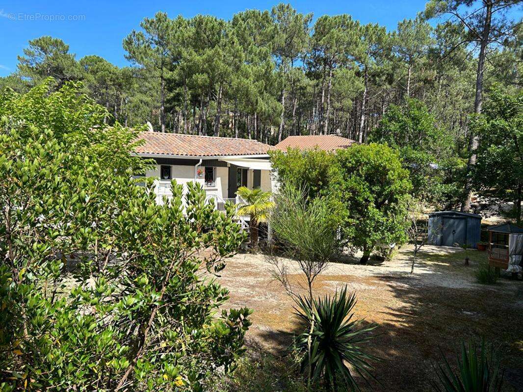 Maison à CARCANS
