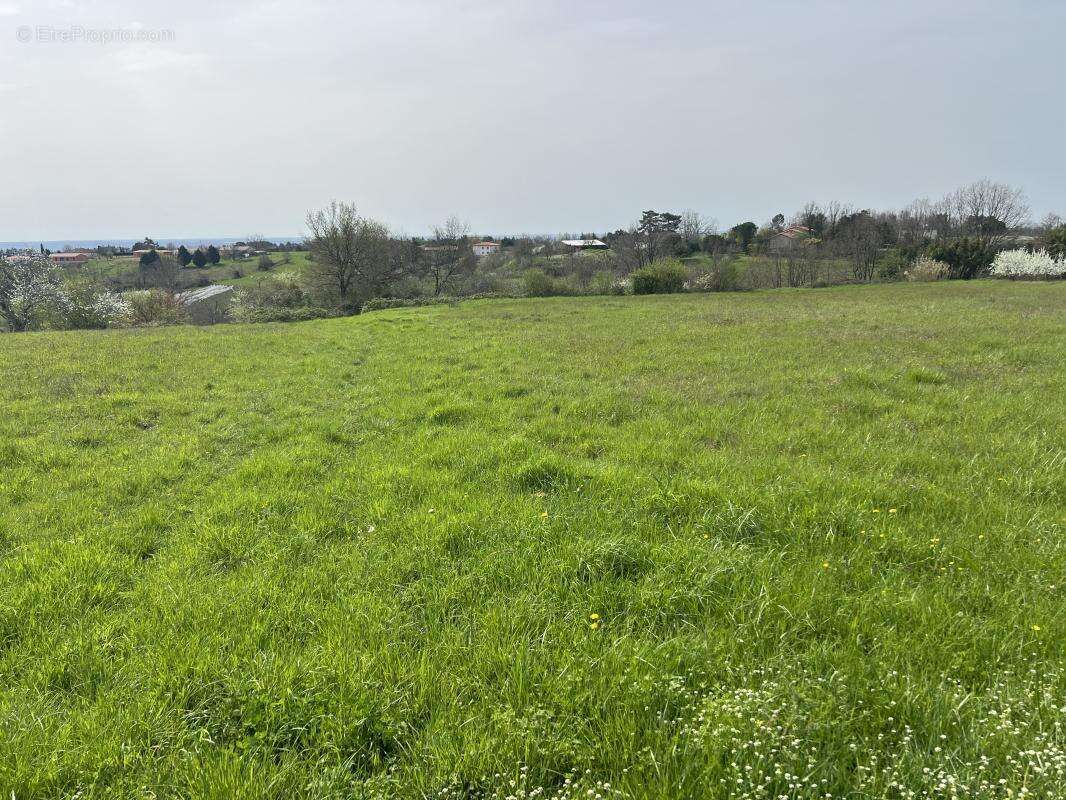 Terrain à MOISSAC