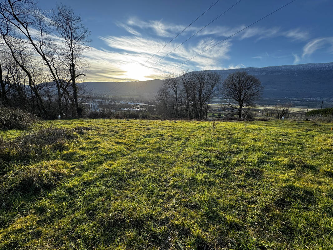 Terrain à VOGLANS