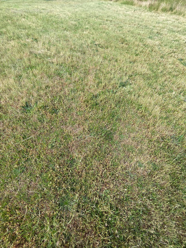 Terrain à SEIGNOSSE