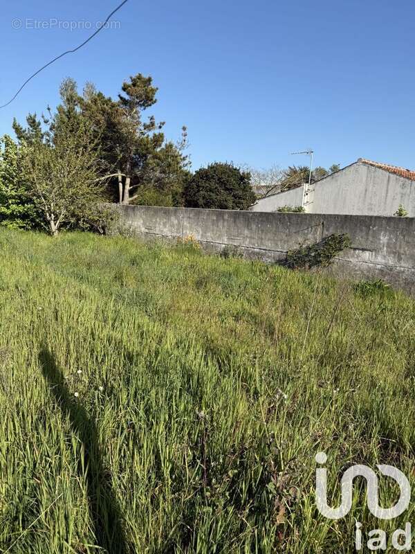 Photo 2 - Maison à BARBATRE