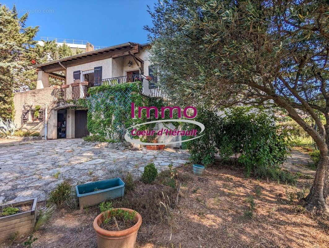 Maison à LODEVE