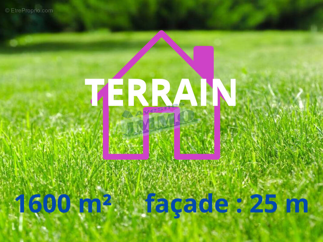 Terrain à AVESNES-LE-COMTE