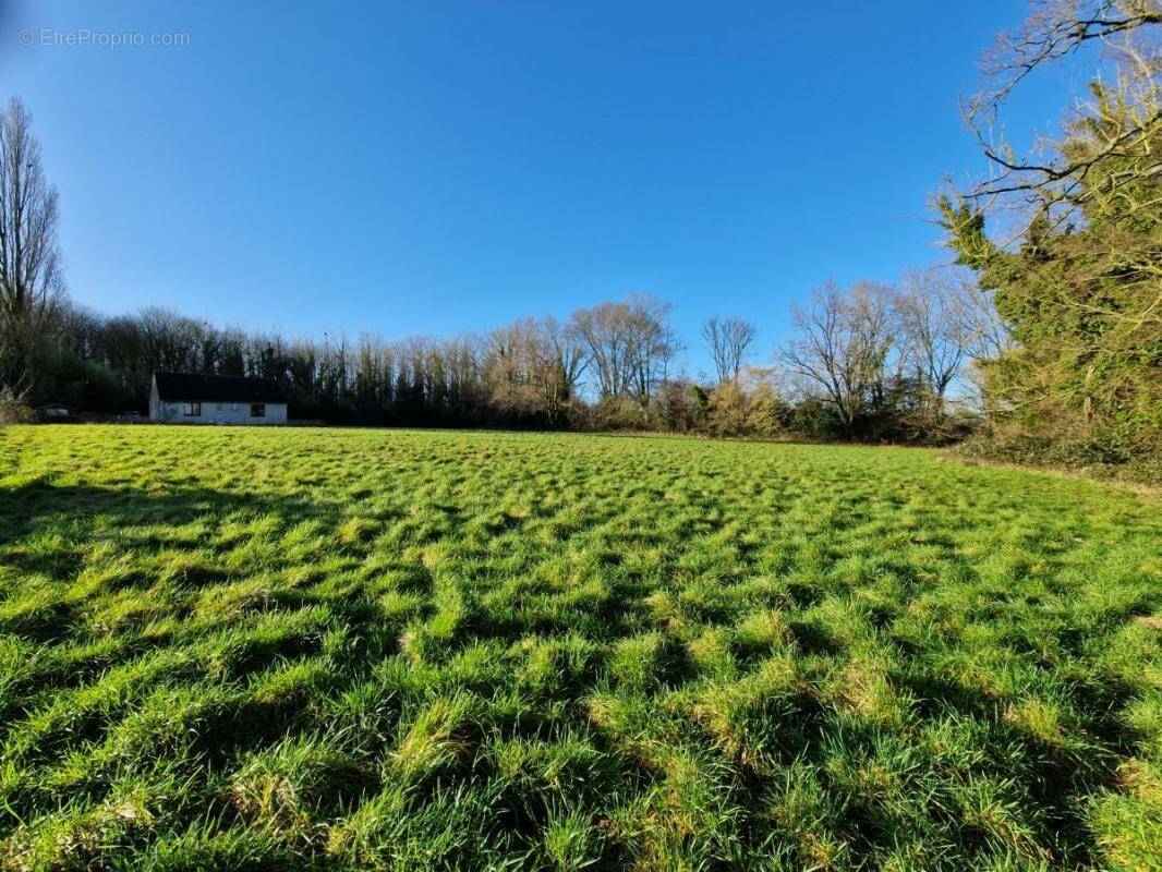Terrain à LISIEUX