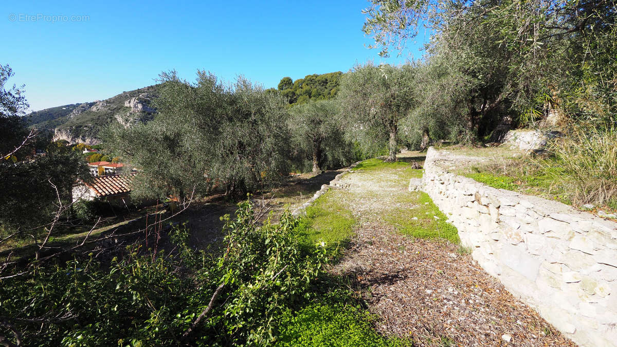 Terrain à EZE