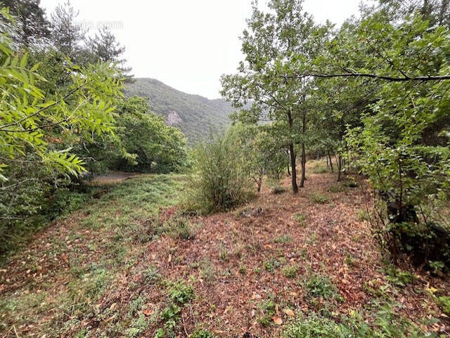 Terrain à CITOU
