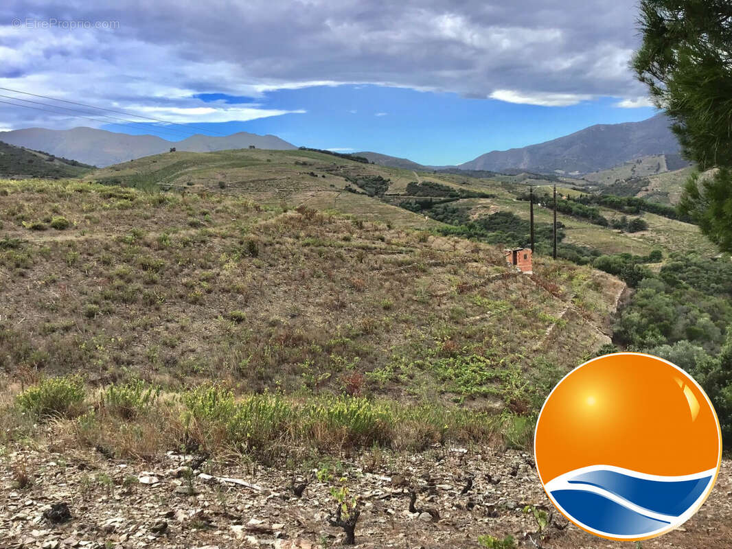 Terrain à BANYULS-SUR-MER