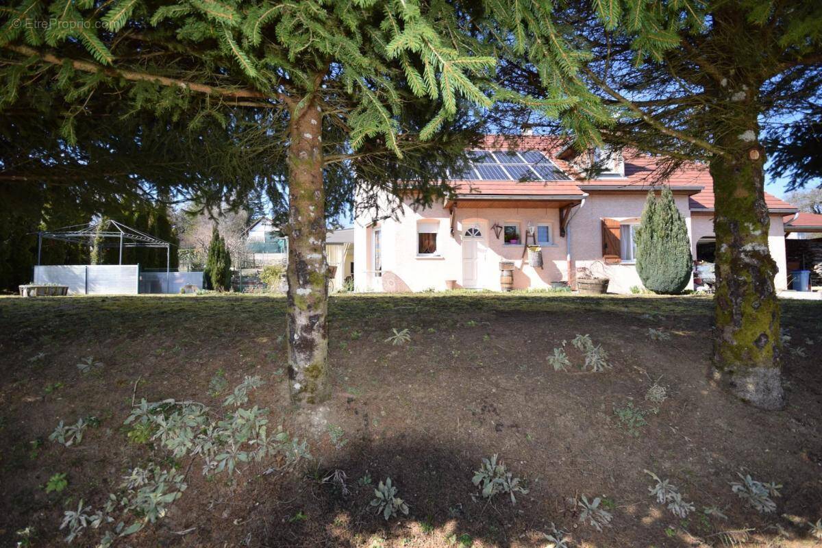 Maison à ORGELET