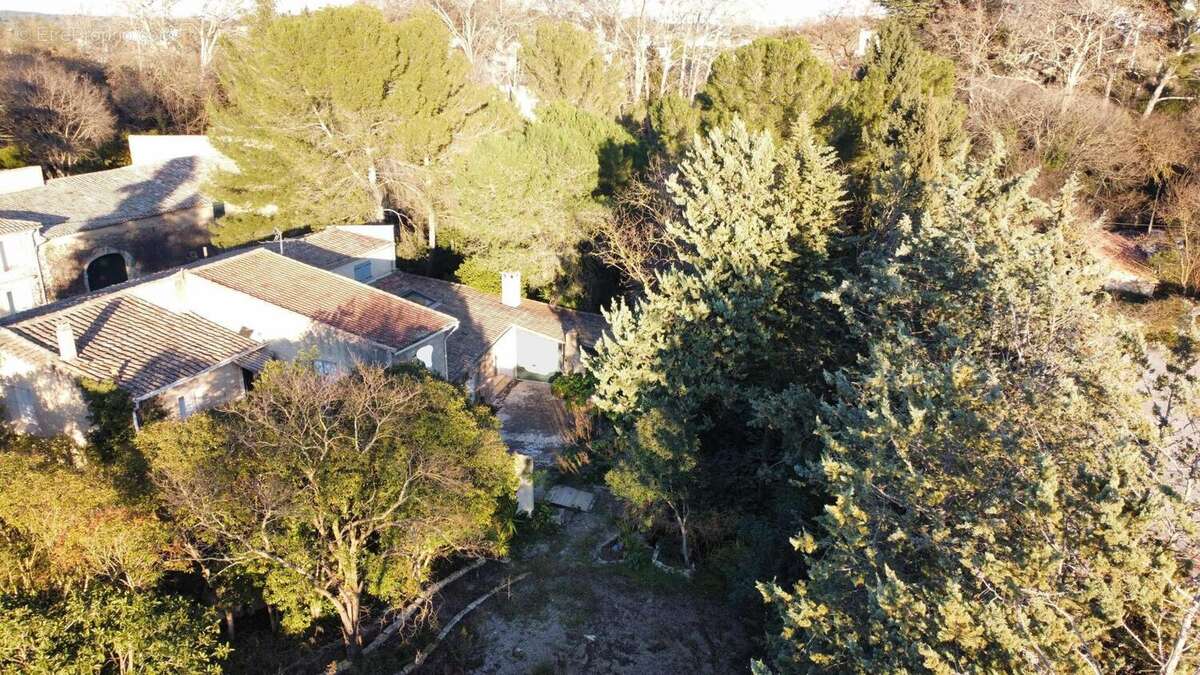 Photo 2 - Maison à BAILLARGUES