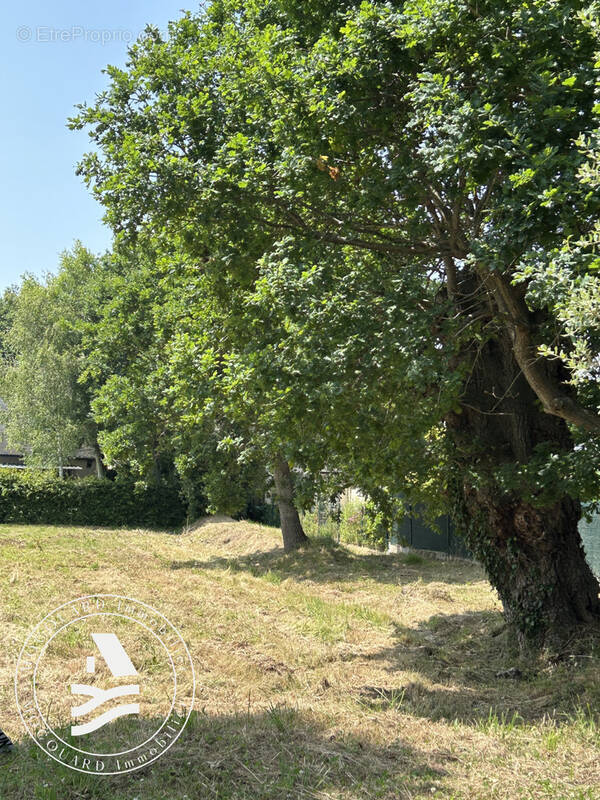Terrain à CRACH