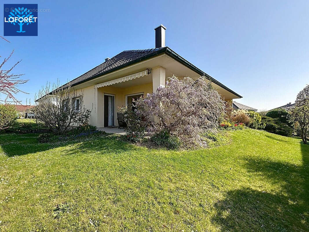 Maison à VENDENHEIM