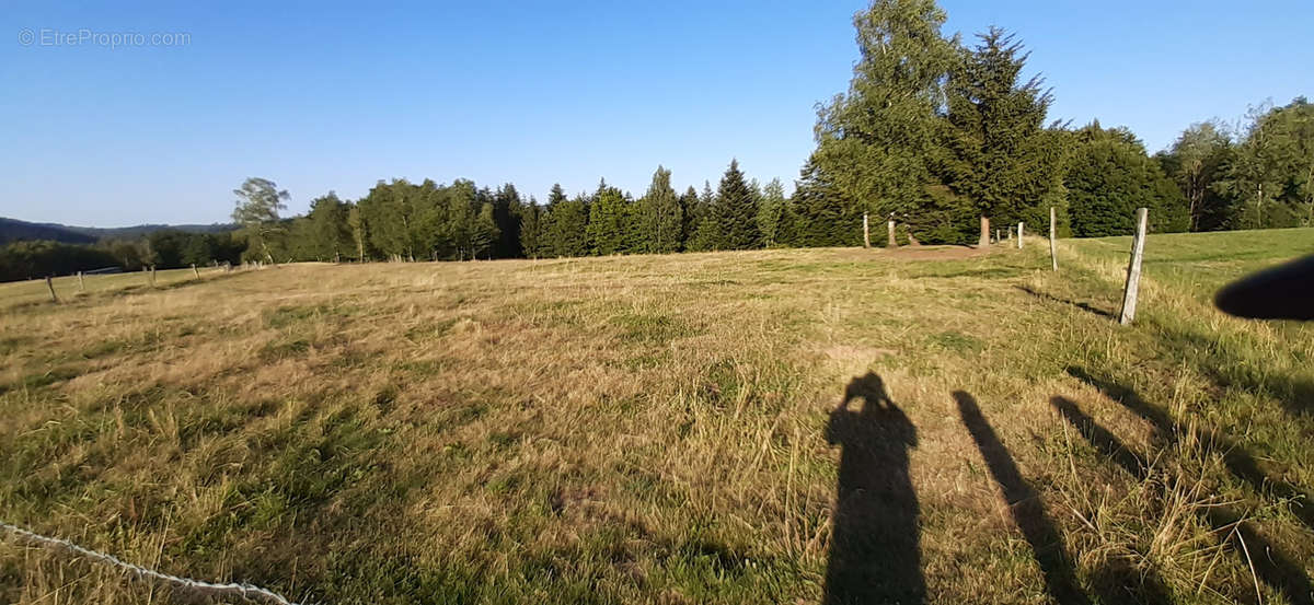 Terrain à HATTIGNY