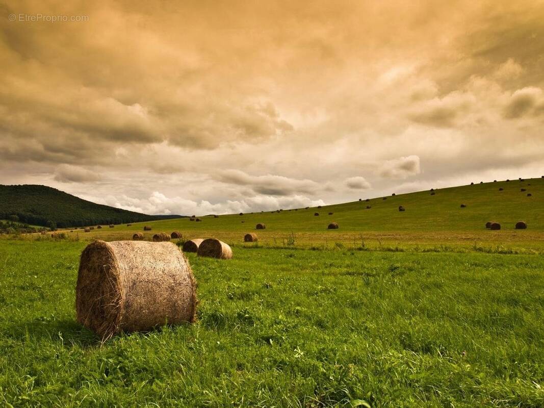 Terrain à VERRENS-ARVEY