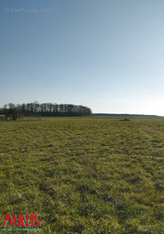 Terrain à BONNEVAL