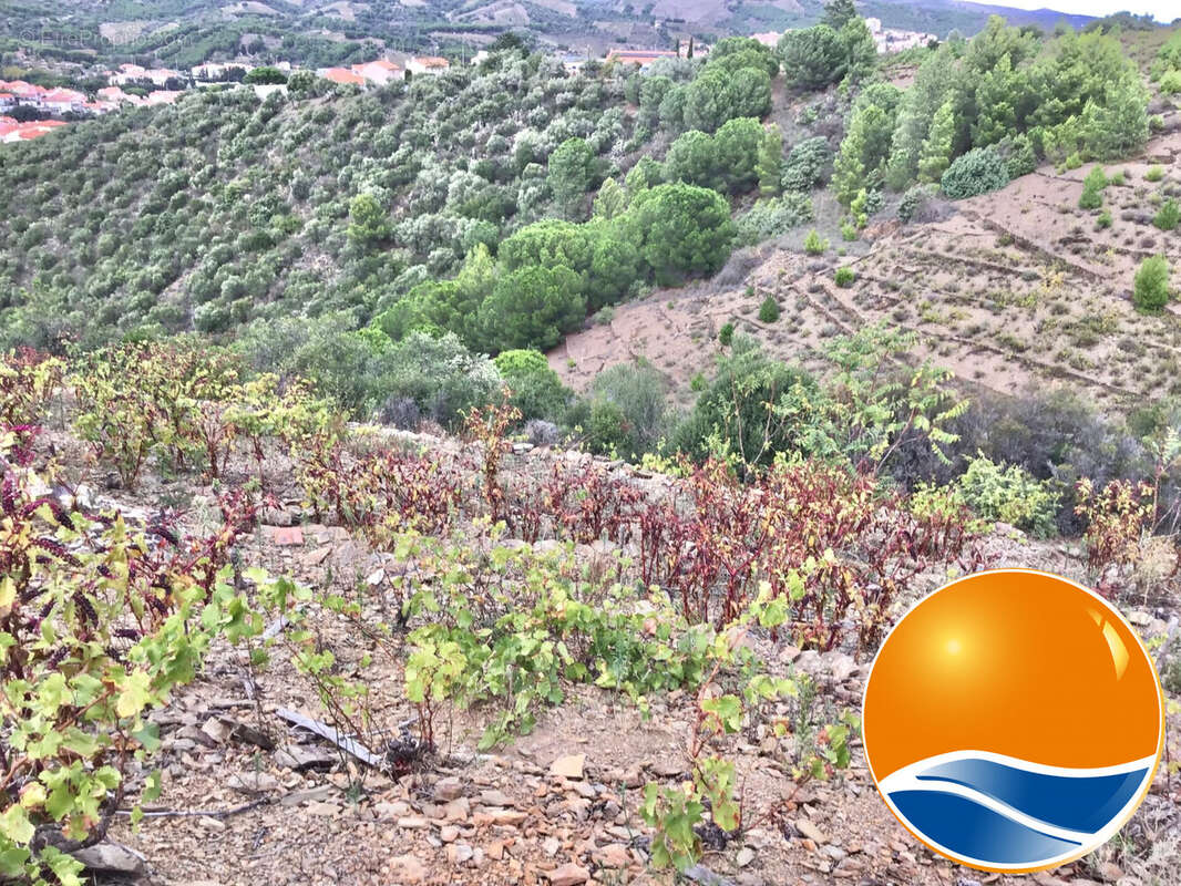 Terrain à BANYULS-SUR-MER