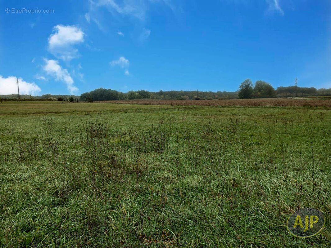 Terrain à SAINT-GERMAIN-D&#039;ESTEUIL