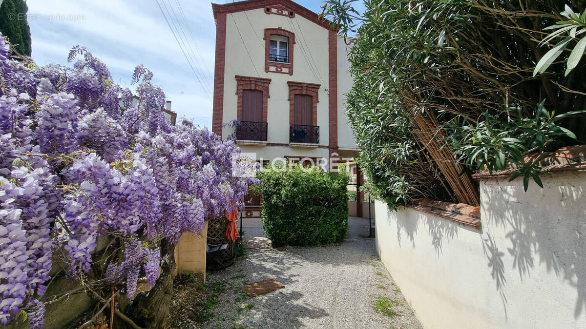 Appartement à BANYULS-SUR-MER
