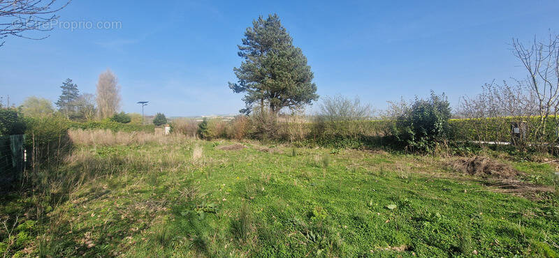 Terrain à WISSANT