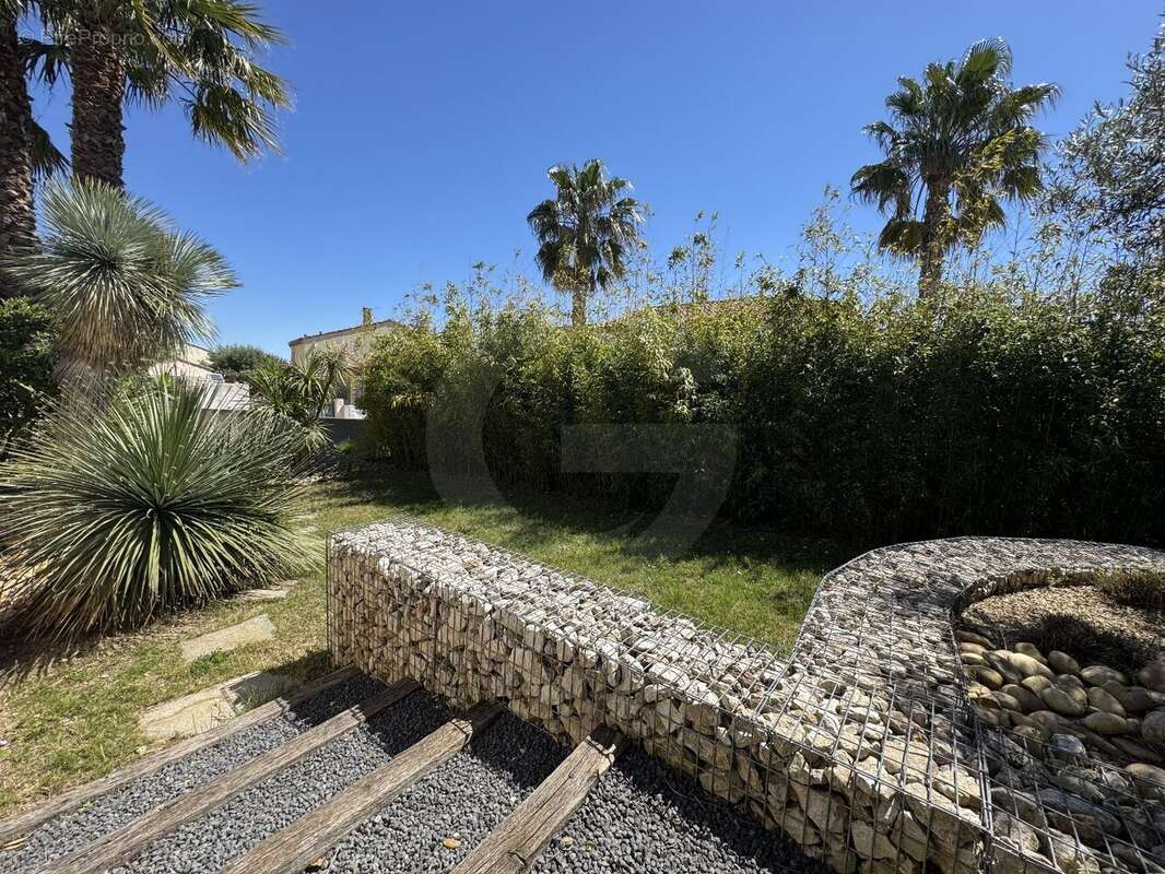 Maison à BOUZIGUES