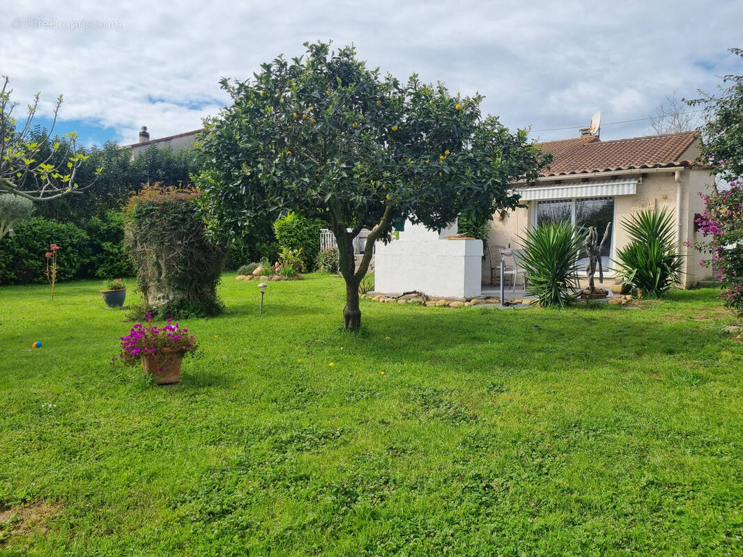 Maison à ALERIA