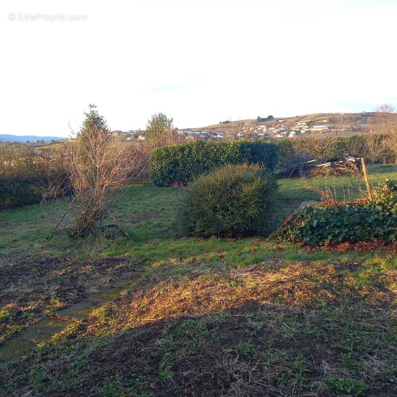 Terrain à CELLIEU