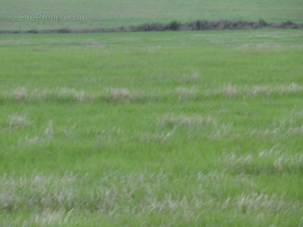Terrain à CAMORS