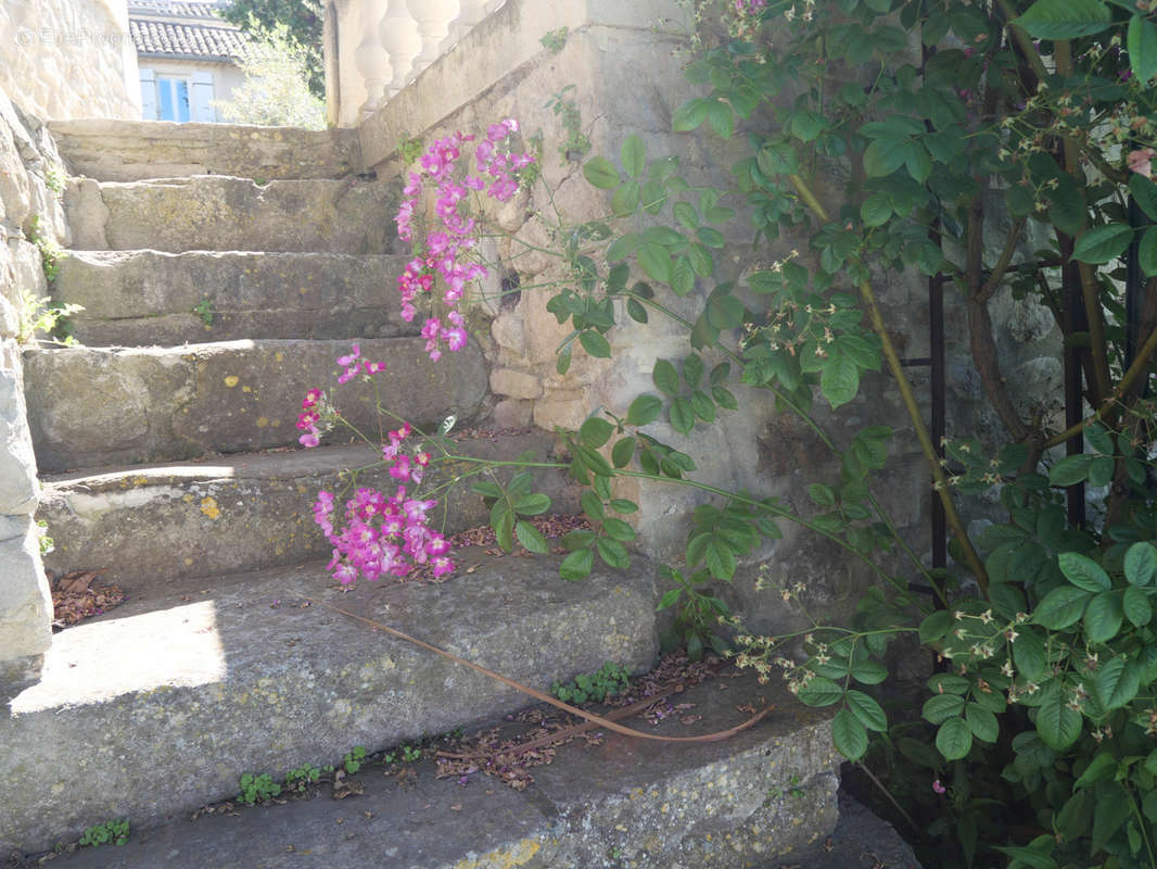 Maison à VISAN
