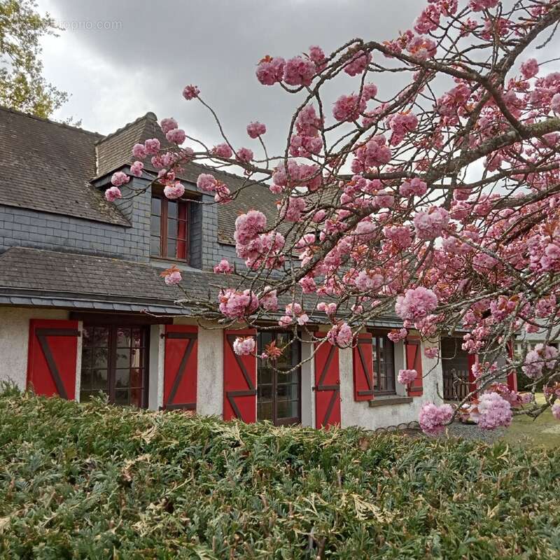 Maison à EREAC