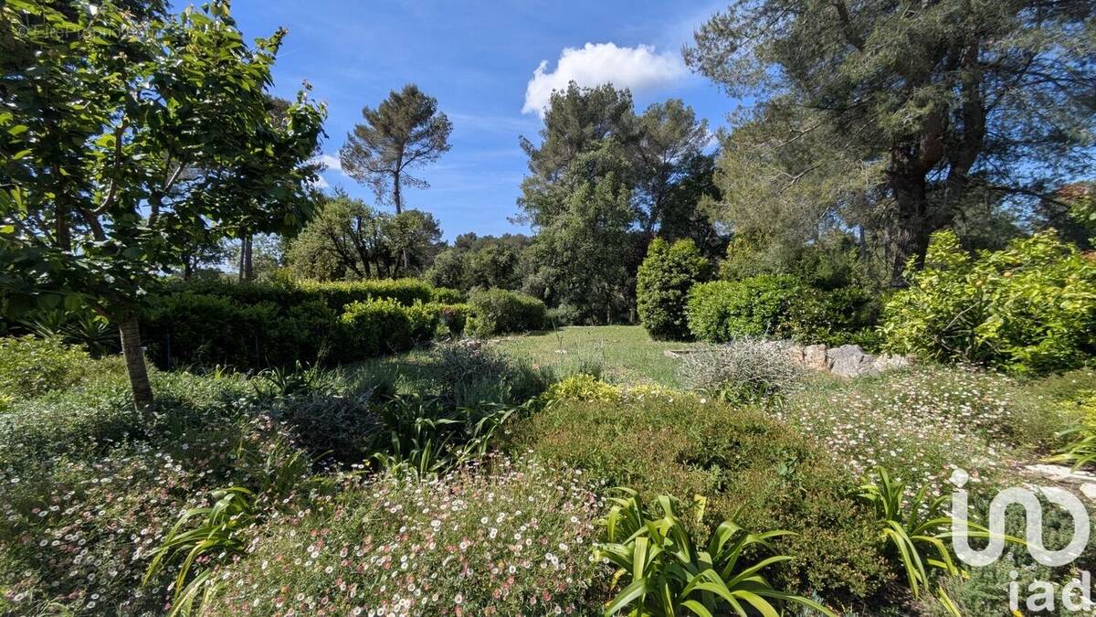 Photo 1 - Maison à ROQUEFORT-LES-PINS
