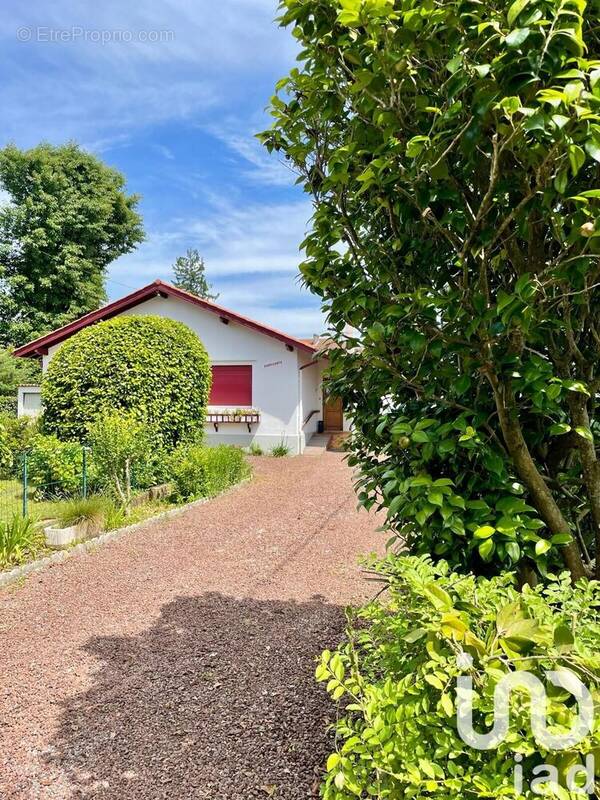 Photo 1 - Maison à CAMBO-LES-BAINS