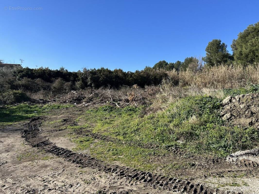 Terrain à MUS