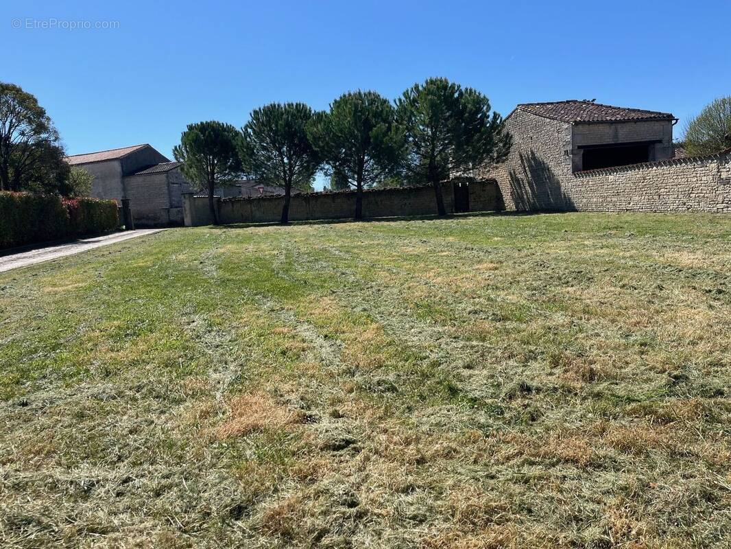 Terrain à SIGOGNE