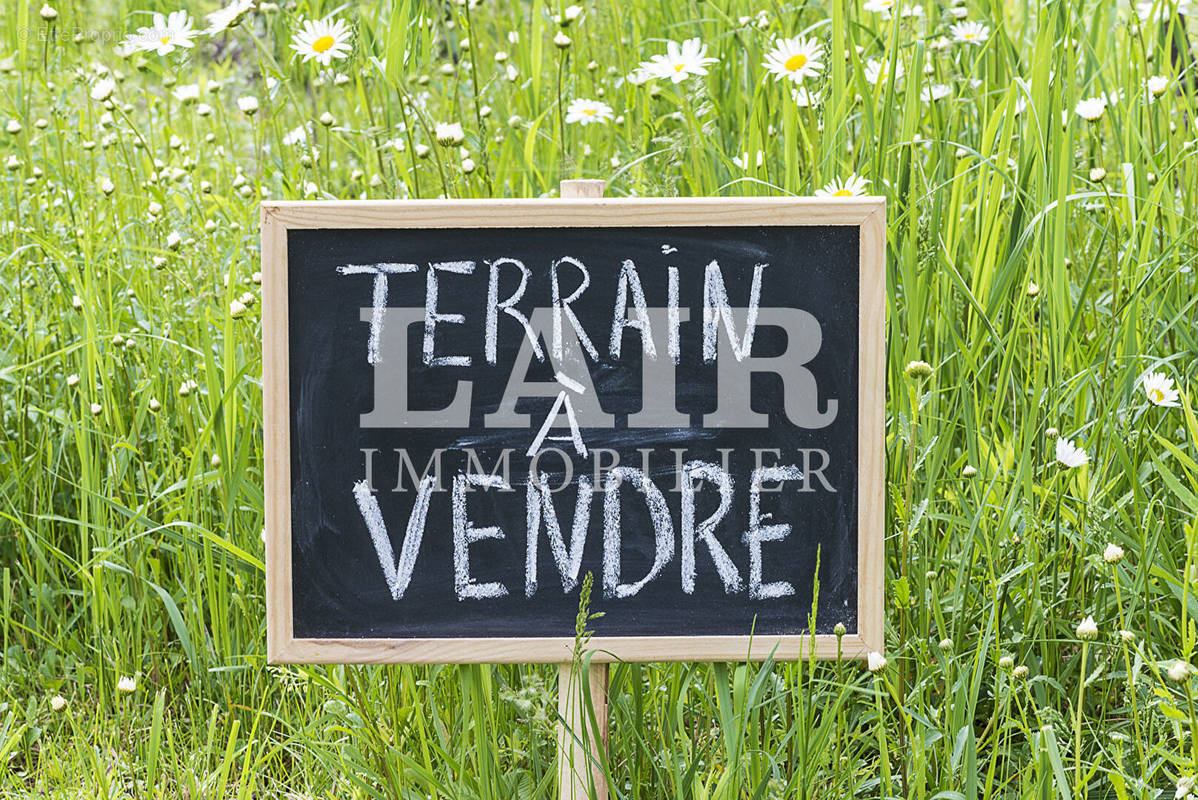 Terrain à ATHIS-DE-L&#039;ORNE