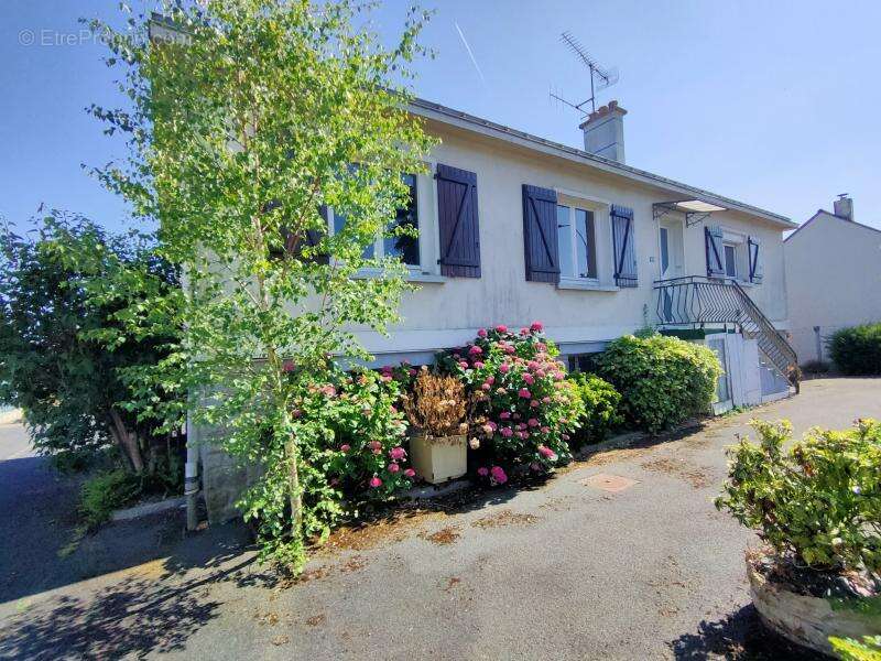 Maison à MONTREUIL-JUIGNE