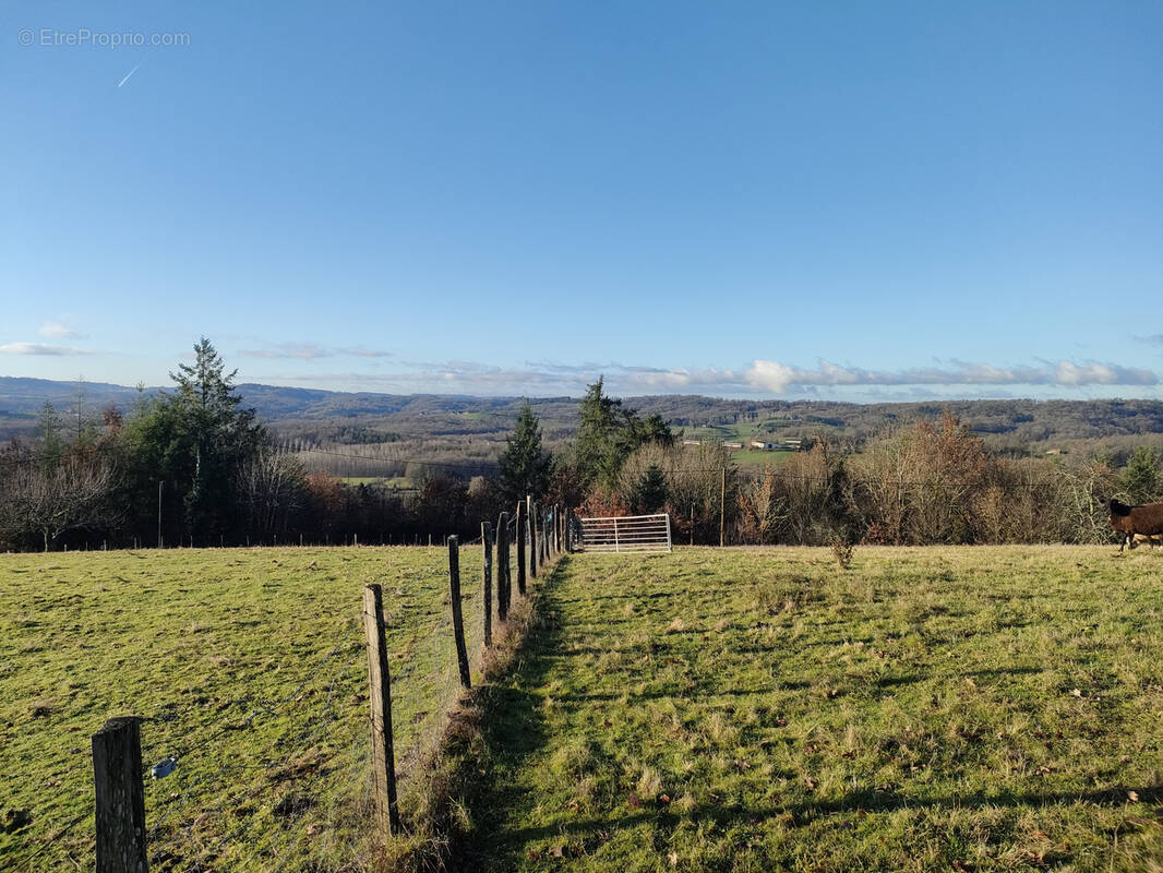 Terrain à JUILLAC