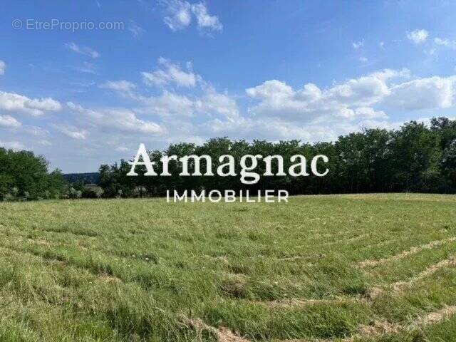 Terrain à NOGARO