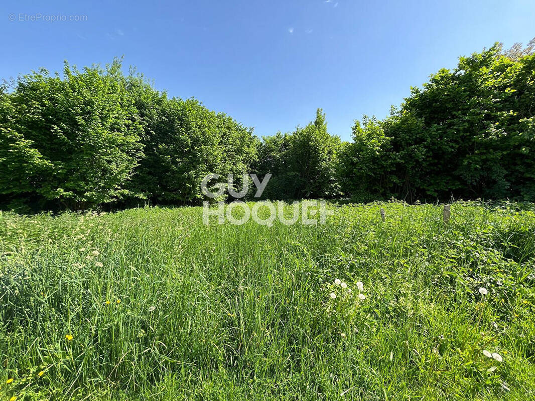Terrain à LONGUEIL-SAINTE-MARIE