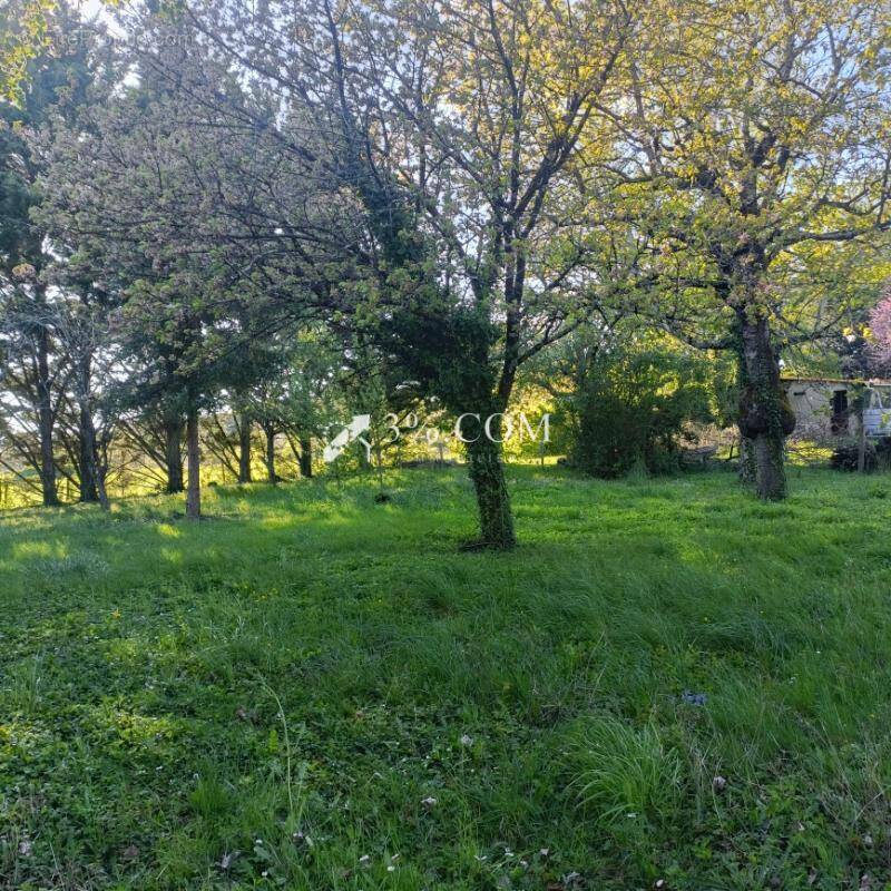 Terrain à BEAUMONT