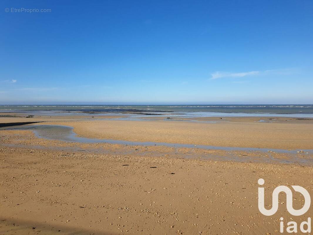 Photo 1 - Appartement à LANGRUNE-SUR-MER