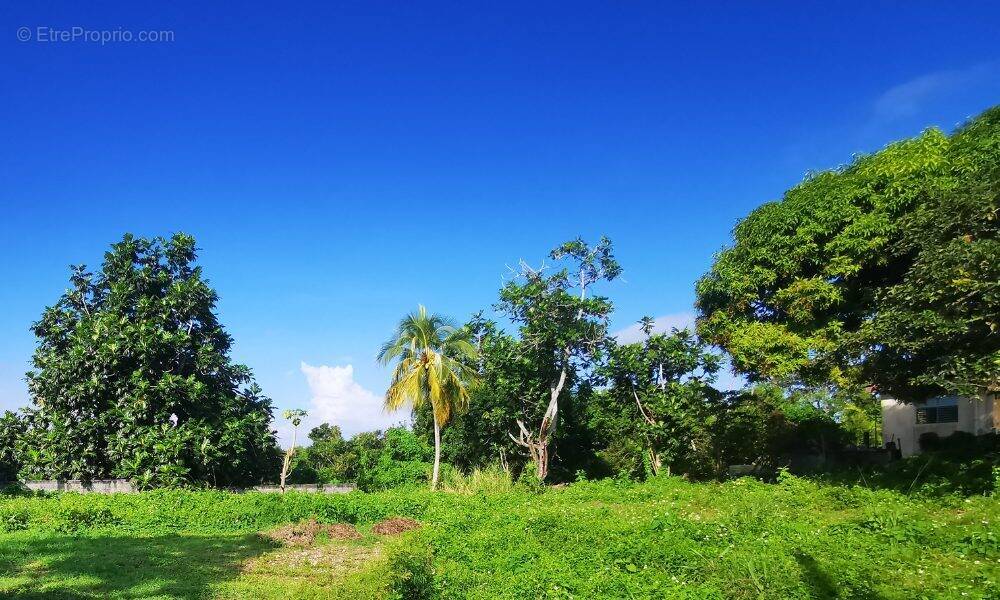 Terrain à MORNE-A-L&#039;EAU