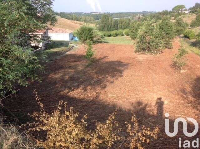 Photo 2 - Terrain à MOISSAC