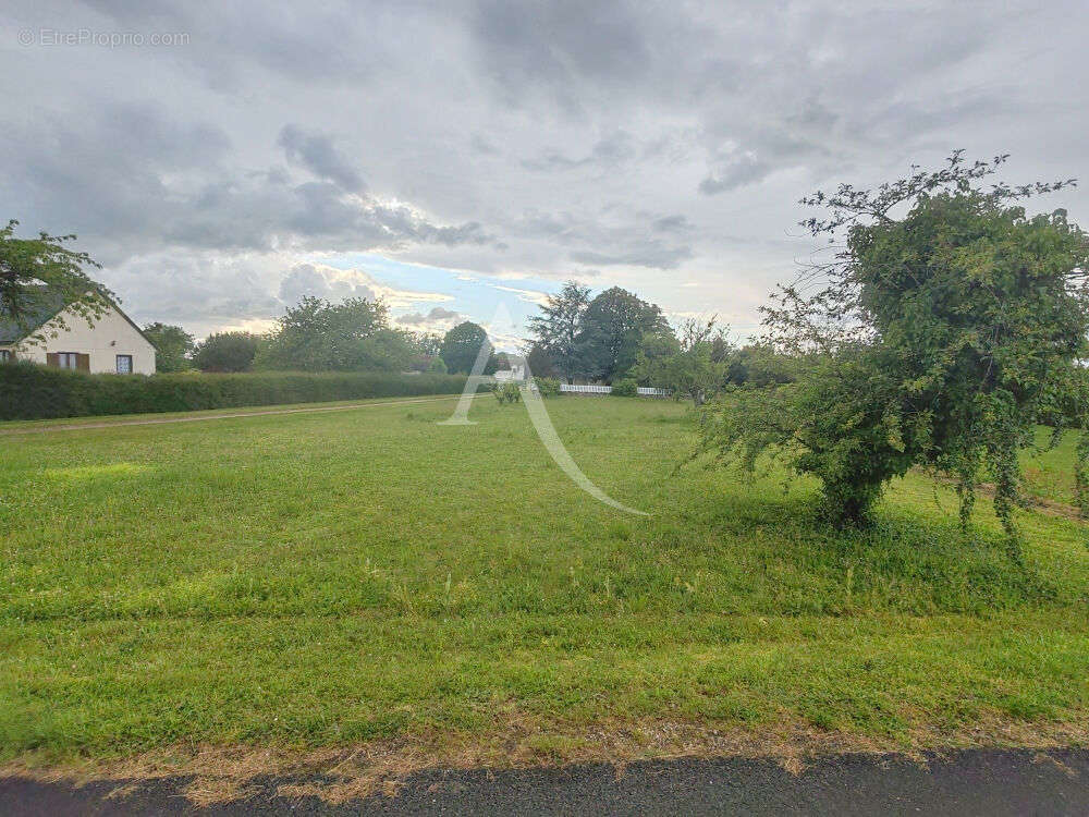 Terrain à CONTRES