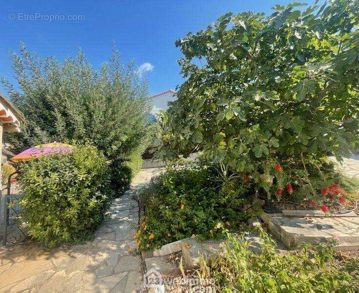 Jardin et terrasse de 330m2, un abri voiture - Maison à SAINTE-MAXIME