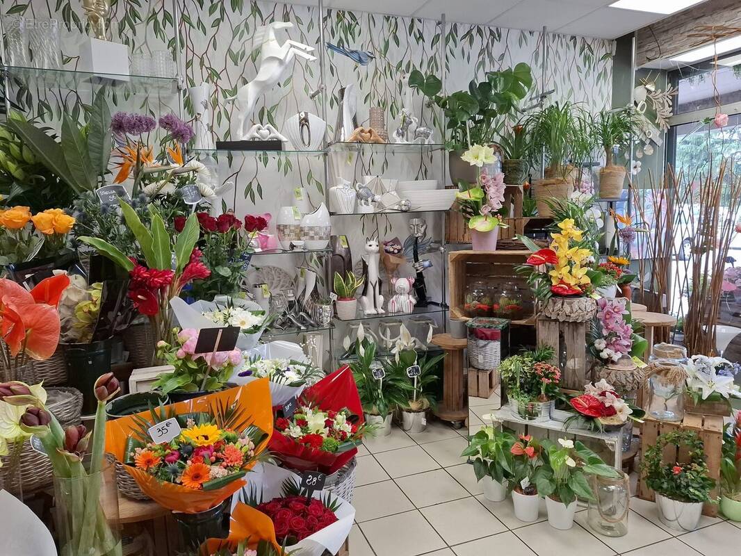 Commerce à CHASSIEU