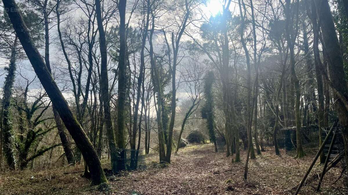 Terrain à TOSSE